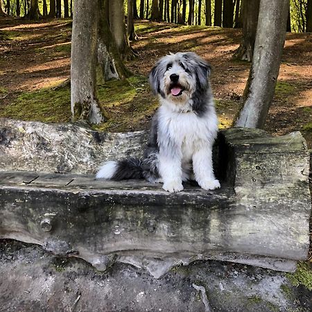 Sehnsucht Ruegen Ferienappartements Sellin  Buitenkant foto