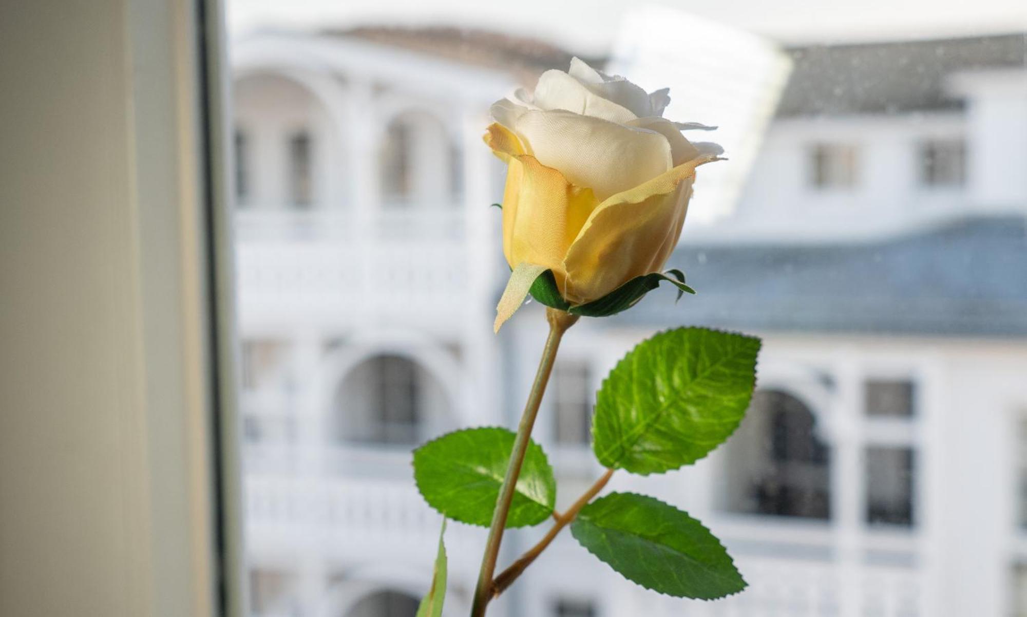 Sehnsucht Ruegen Ferienappartements Sellin  Buitenkant foto
